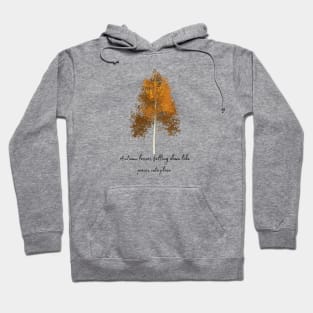 Autumn leaves falling down Hoodie